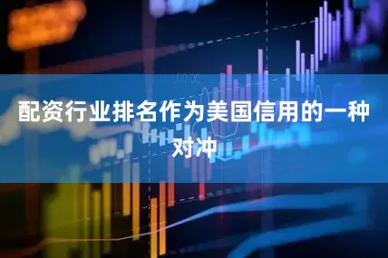 配资行业排名作为美国信用的一种对冲