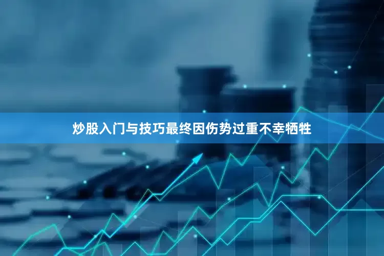 炒股入门与技巧最终因伤势过重不幸牺牲