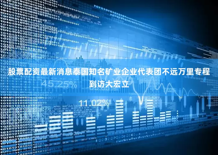股票配资最新消息泰国知名矿业企业代表团不远万里专程到访大宏立