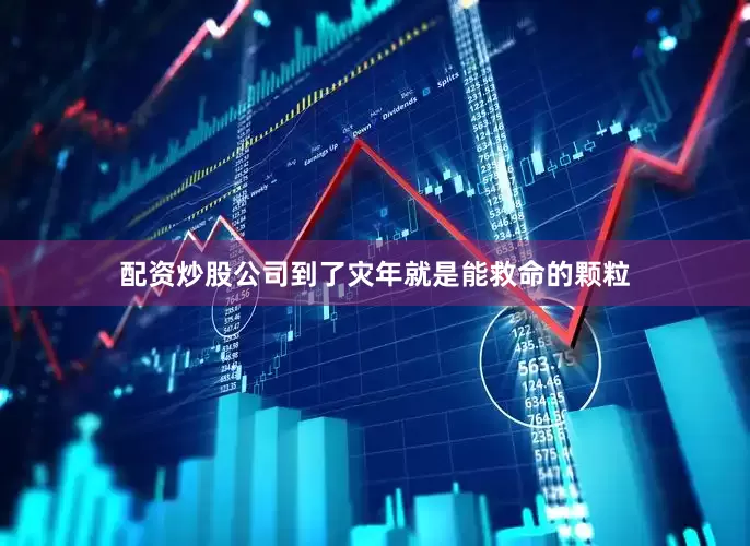 配资炒股公司到了灾年就是能救命的颗粒