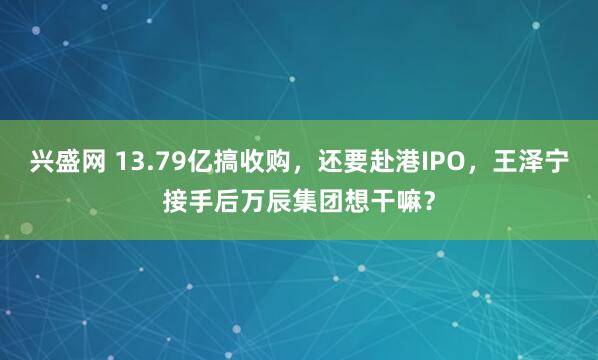 兴盛网 13.79亿搞收购，还要赴港IPO，王泽宁接手后万辰集团想干嘛？