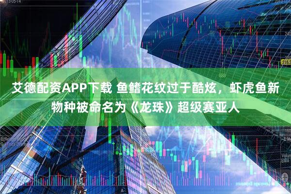 艾德配资APP下载 鱼鳍花纹过于酷炫，虾虎鱼新物种被命名为《龙珠》超级赛亚人