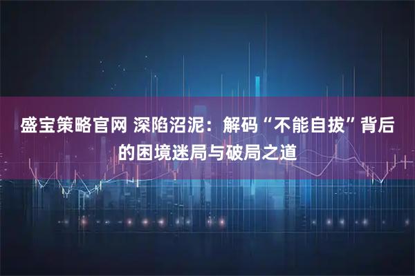 盛宝策略官网 深陷沼泥：解码“不能自拔”背后的困境迷局与破局之道