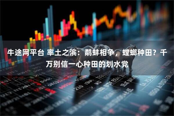 牛途网平台 率土之滨：鹬蚌相争，螳螂种田？千万别信一心种田的划水党